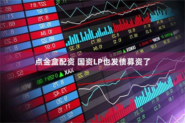 点金盒配资 国资LP也发债募资了