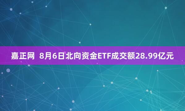 嘉正网  8月6日北向资金ETF成交额28.99亿元