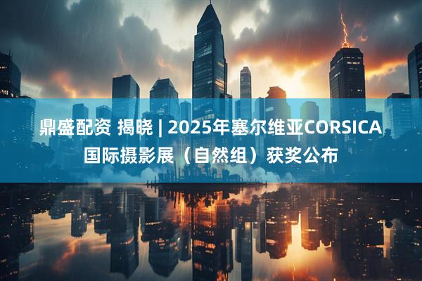 鼎盛配资 揭晓 | 2025年塞尔维亚CORSICA国际摄影展（自然组）获奖公布