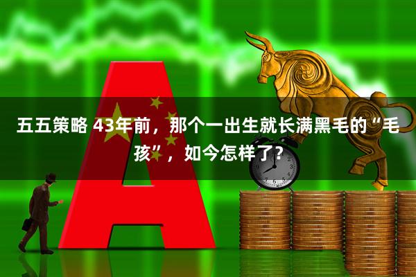 五五策略 43年前，那个一出生就长满黑毛的“毛孩”，如今怎样了？