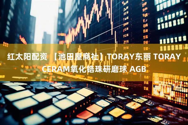 红太阳配资 【池田屋商社】TORAY东丽 TORAYCERAM氧化锆珠研磨球 AGB